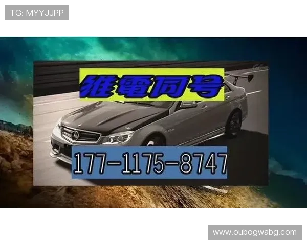 欧博私网一比一股东：实现股东信息安全与私网一比一还原的技术方案探讨